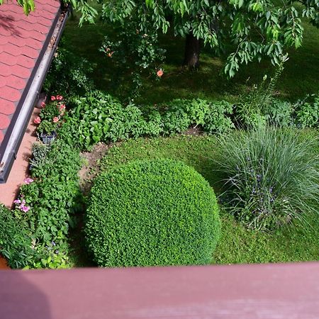 Apartment And Rooms Ivancica Seliste Dreznicko Exterior photo