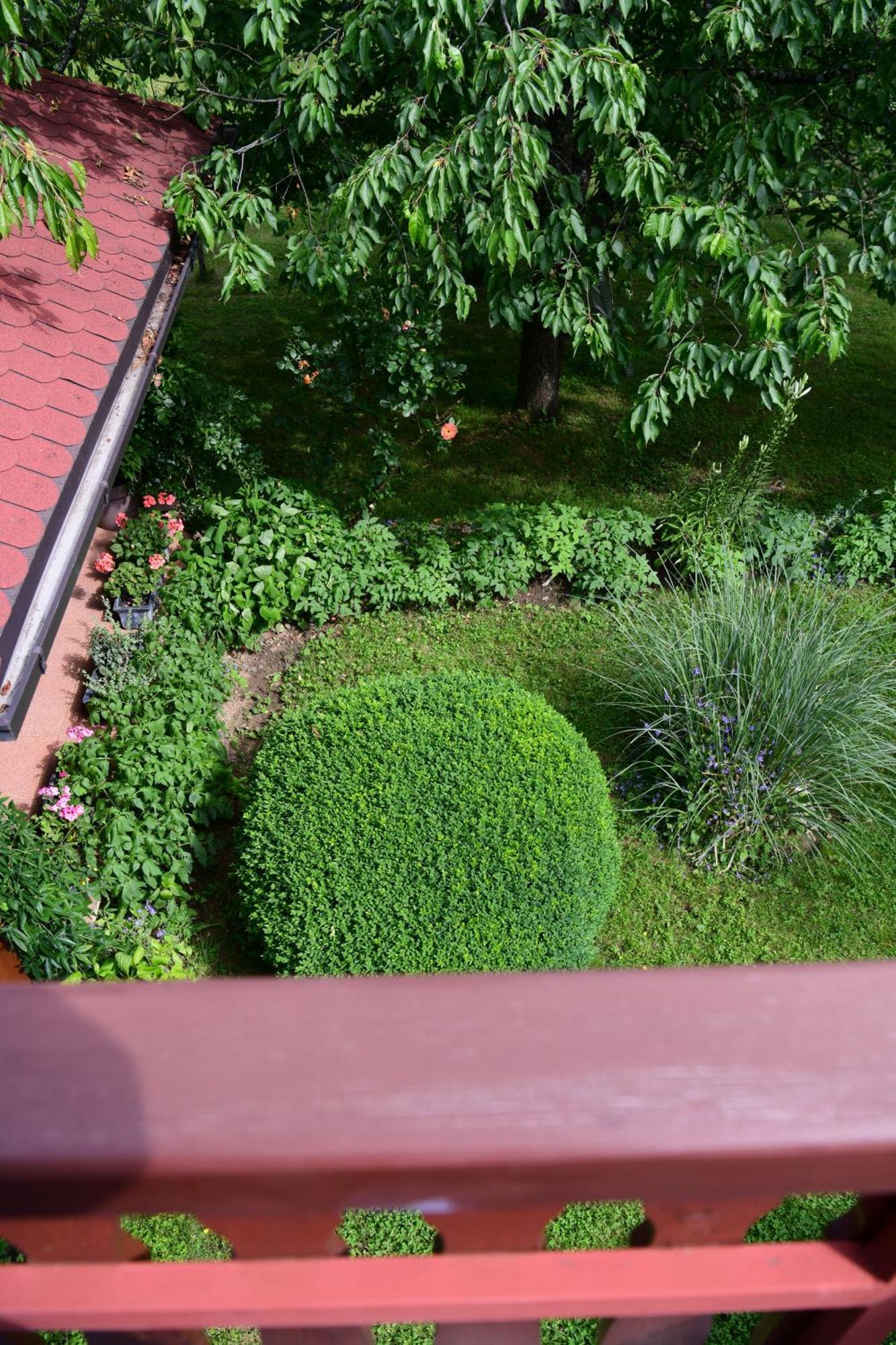 Apartment And Rooms Ivancica Seliste Dreznicko Exterior photo